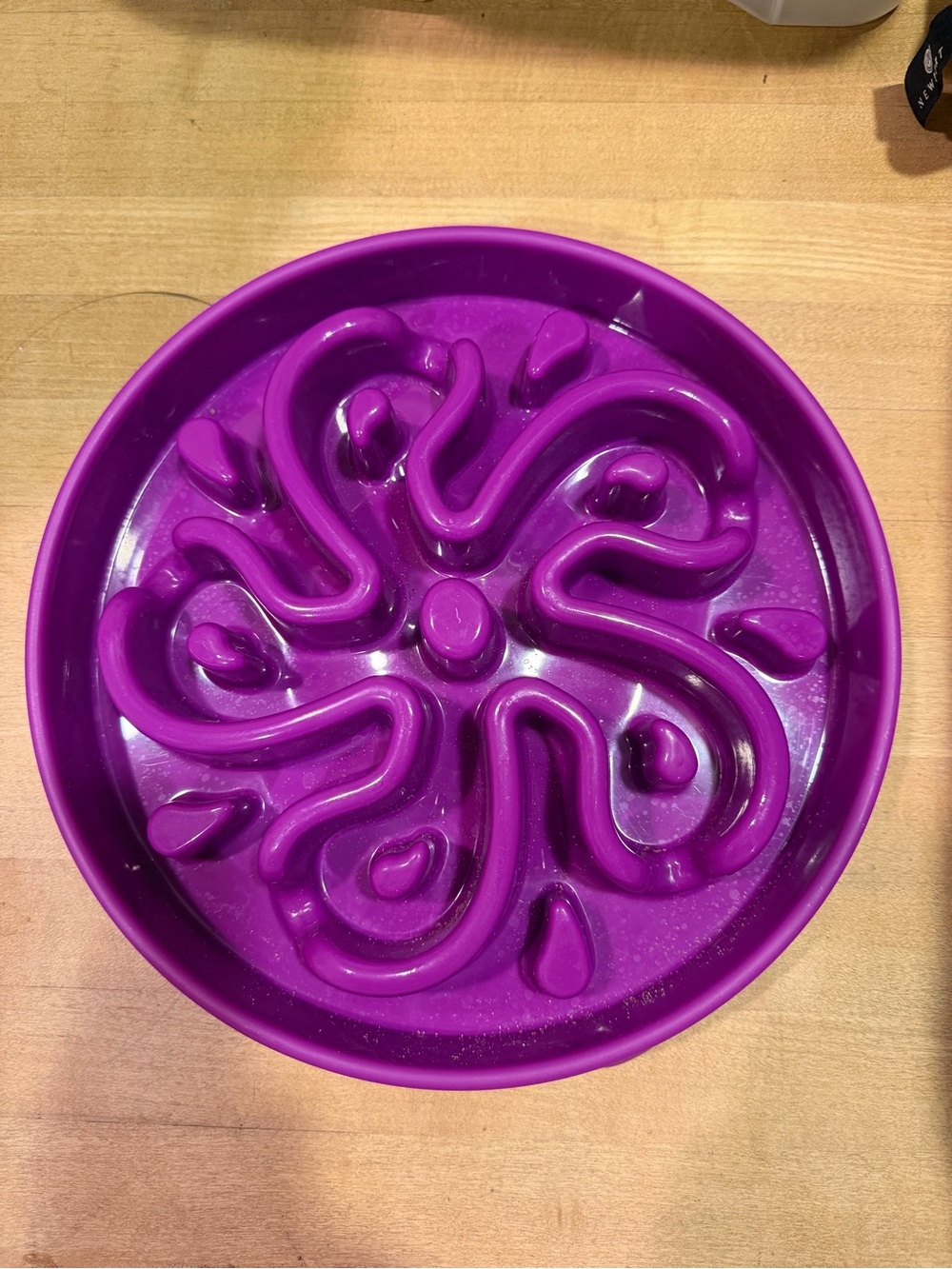 Purple Slow Feeder Dog Food Bowl